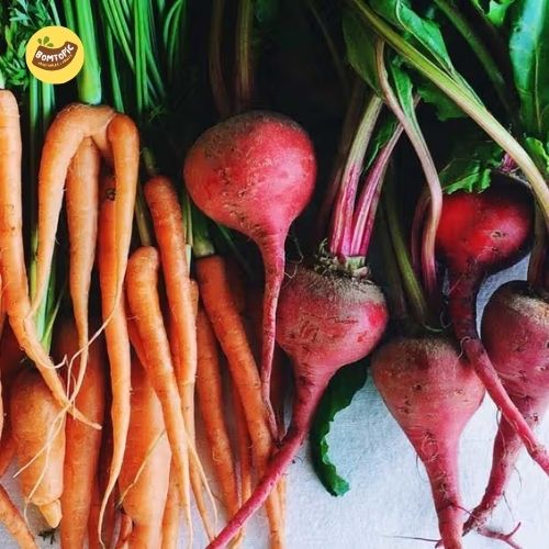 Root and Stem Vegetables