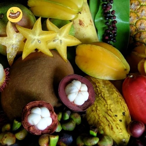 Exotic or Imported Fruits